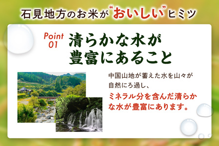 【定期便】【令和5年産】石見産きぬむすめ 60kg 6ヶ月（10kg×6回コース） お取り寄せ 特産 お米 精米 白米 ごはん ご飯 コメ 新生活 応援 準備 【238】