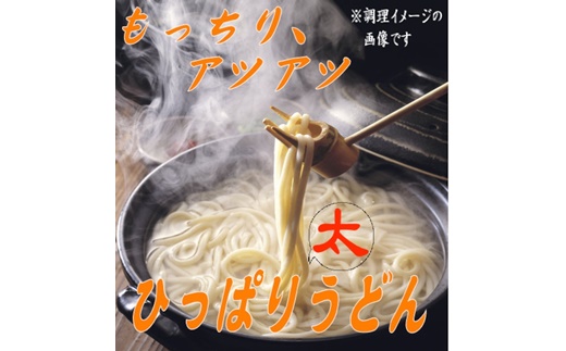 ひっぱり太うどん　２６０g　10袋入【41155】