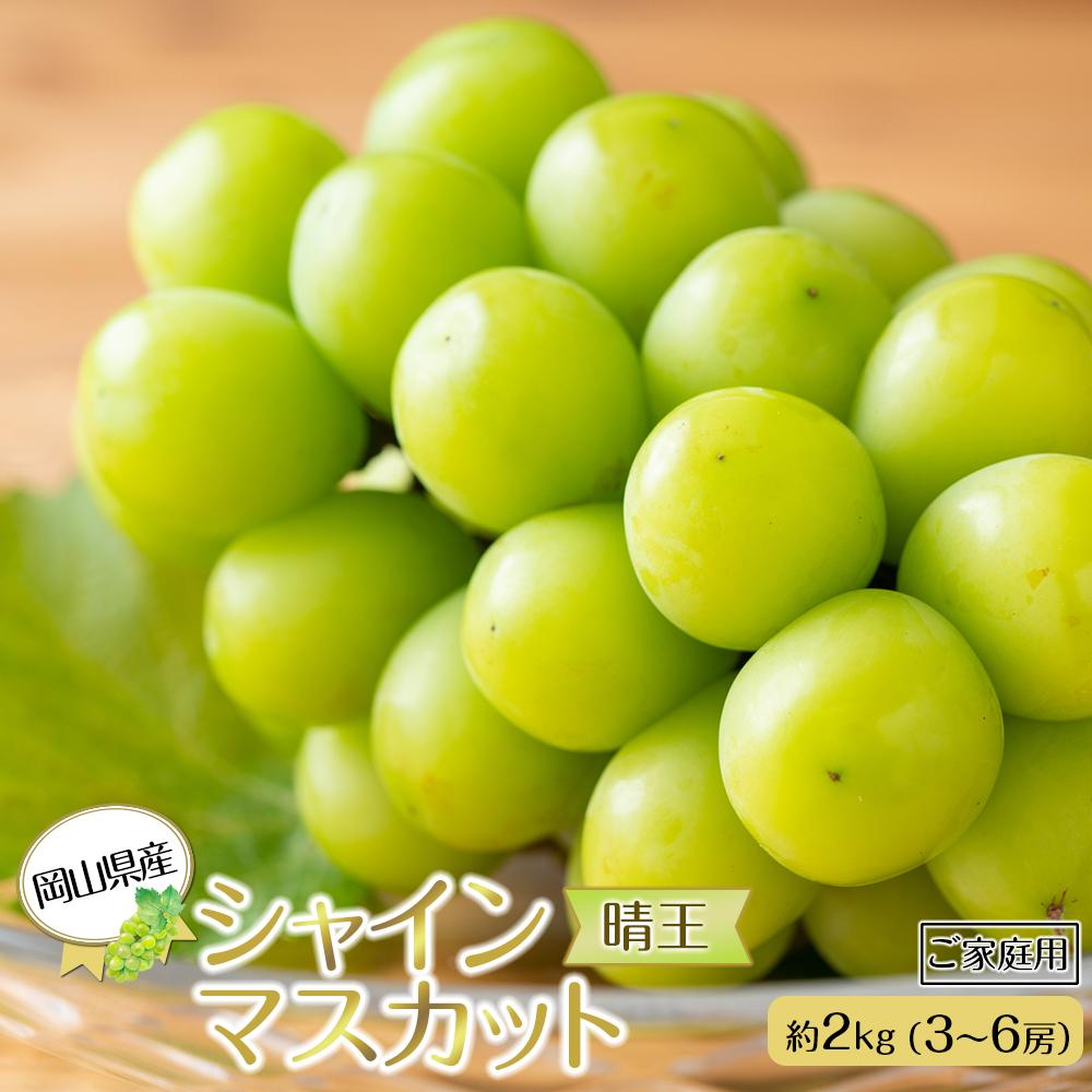 【ふるさと納税】岡山県産 ぶどう 2025年発送 ご家庭用 シャインマスカット 晴王 約2kg（3～6房）ブドウ フルーツ 果物 | フルーツ 果物 くだもの 食品 人気 おすすめ 送料無料