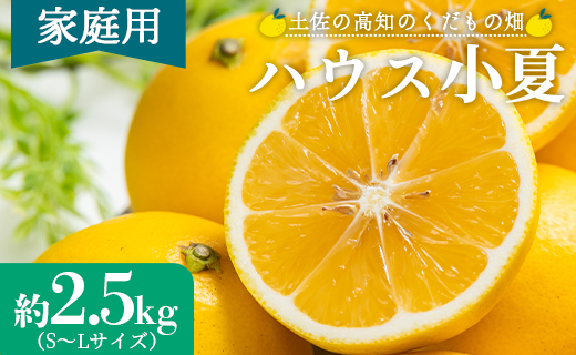 【2026年出荷分】ハウス小夏(日向夏) 2.5kg(家庭用) 高知 土佐 こなつ 果物 フルーツ 土佐の高知のくだもの畑 【先行予約】 - 家庭用 訳あり 小夏 kd-0029
