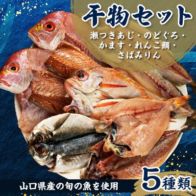 ふるさと納税 長門市 干物セット 5種類
