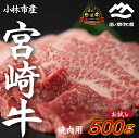 【ふるさと納税】【生産直送】 国産 牛肉 宮崎牛 おためし焼肉　500g×1P（お肉 モモ ウデ すき焼き 焼肉 赤身）