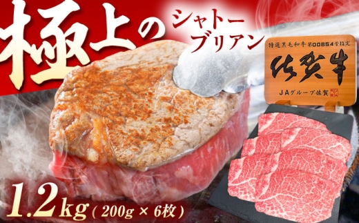 佐賀牛 ヒレステーキ シャトーブリアン 1.2kg（200g×6枚） [UEM060]
