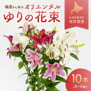 【ふるさと納税】福原さん家のオリエンタルゆりの花束 10本（3～5輪） 【 ふるさと納税 人気 おすすめ ランキング 花 ゆり ユリ 花束 プレゼント 記念日 ギフト 贈答 母の日 北海道 豊浦町 送料無料 】 TYUAB003