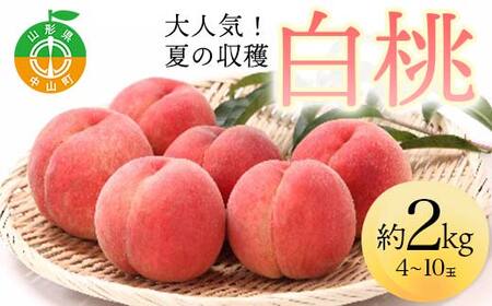 《2026年先行予約》 山形県産 大人気！ 夏の収穫 白桃 約2kg（4～10玉） 桃 もも フルーツ くだもの 山形県 中山町 F4A-0423