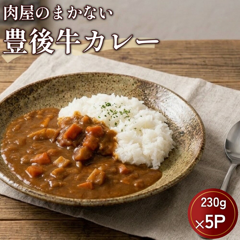【ふるさと納税】肉屋のまかない 豊後牛カレー 230g×5パック
