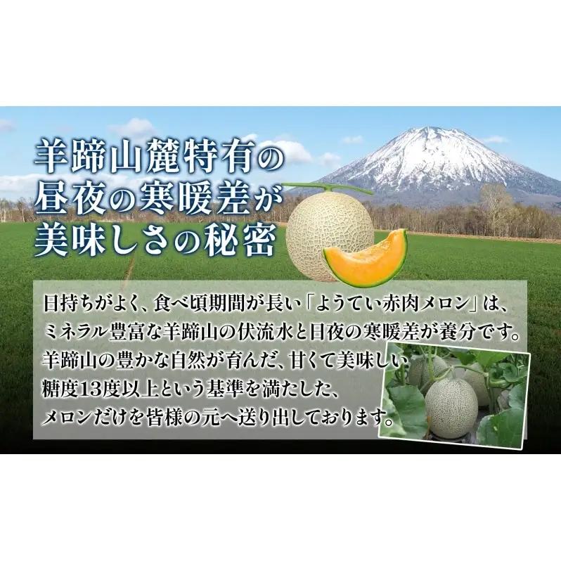 赤肉メロン 北海道産 完熟 JAようてい 赤肉メロン【約1.6kg 2玉】