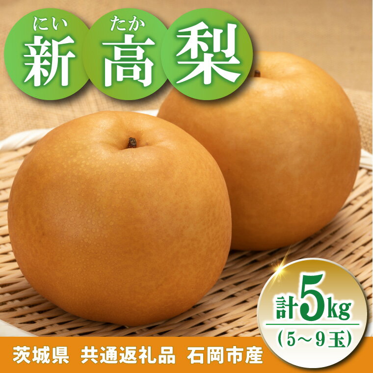 【ふるさと納税】大玉梨　新高　5kg(5〜9玉)県内共通返礼品石岡市産【配送不可地域：離島・沖縄県】 (BR175)