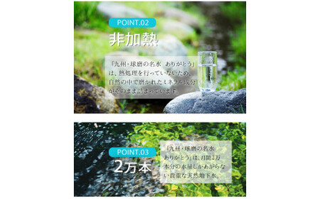 熊本県山江村産 人吉・球磨の名水 ありがとう 500ml×24本 一般社団法人 水都《30日以内に出荷予定(土日祝除く)》