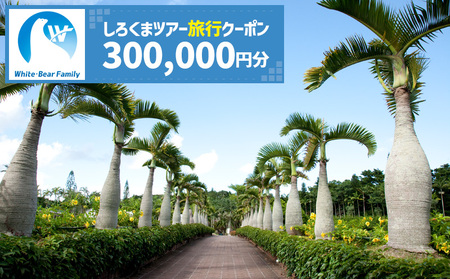 【沖縄市】しろくまツアーで利用可能なWEB旅行クーポン (30万円分) 沖縄旅行クーポン 沖縄旅行クーポン 沖縄旅行クーポン 沖縄旅行クーポン 沖縄旅行クーポン 