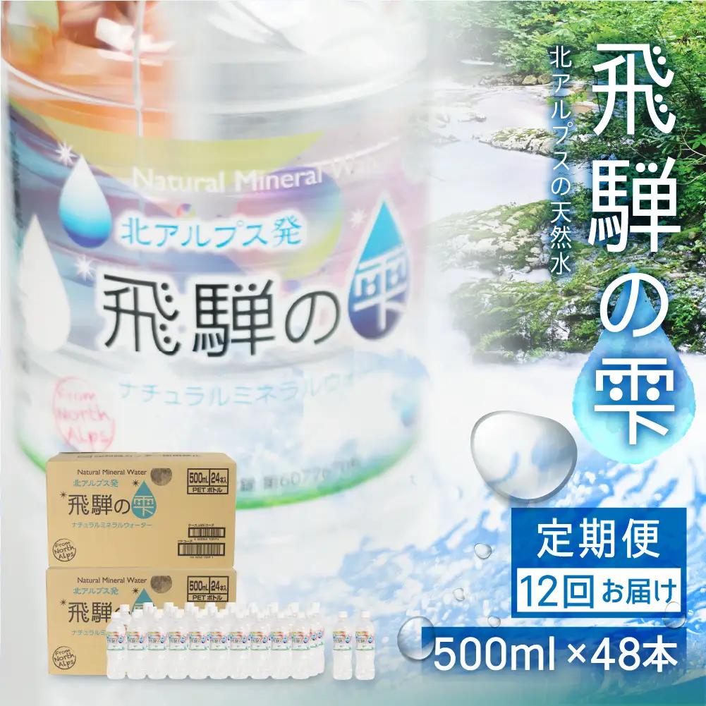 【12回 定期便】天然水 飛騨の雫 500ml×48本 (2ケース)  | 天然水 ミネラルウォーター JS103