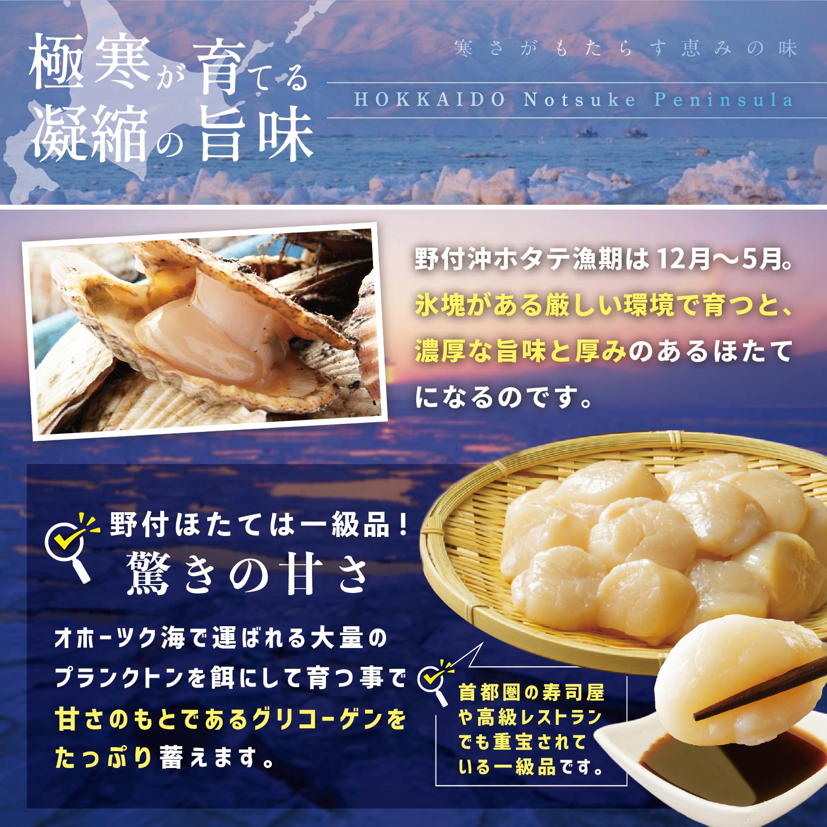 北海道別海町野付産大玉ホタテ 500g (15玉前後)【KT0000054】_イメージ3