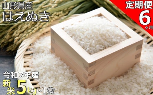 【定期便6ヶ月】【令和7年産新米】山形県産「はえぬき」5kg×1袋×6ヶ月_A191(R7)