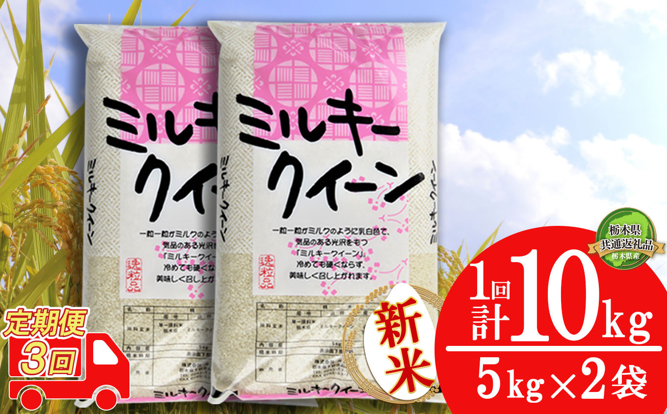 
【定期便3回】令和6年度 新米 ミルキークイーン10kg（5kg×2袋） | 白米 精米 お米 ブランド米 栃木県 栃木県共通返礼品 栃木県産 特産品 下野市 送料無料
