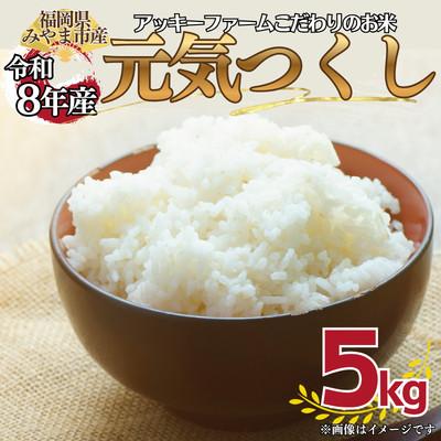 ふるさと納税 みやま市 【令和8年産】アッキーファームのお米「元気つくし」 5kg 白米