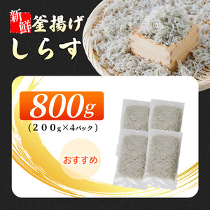 【しらす】釜揚げしらす 200g×4 愛媛県松山市【IY0011】