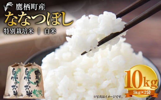 【令和7年産】 ななつぼし （白米） 5kg×2袋 北海道 鷹栖町 たかすタロファーム 米 コメ こめ ご飯 白米 お米 ななつぼし コメ 白米