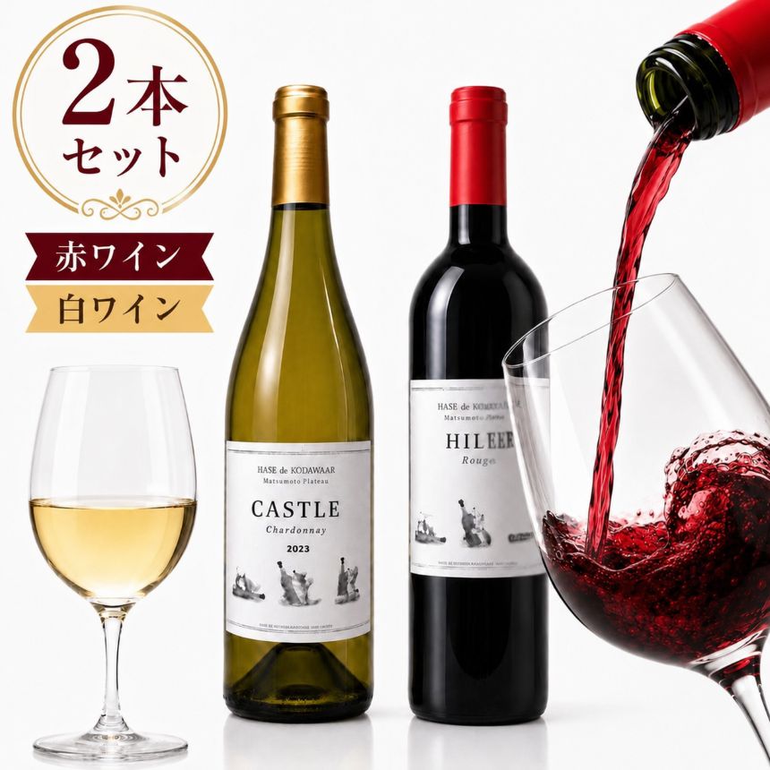 【ふるさと納税】松本市産ぶどう100％使用 赤白ワイン2本セット HILLS Merlot・CASTLE Chardonnay 750ml×各1本 ｜ 飲み比べ 信州 赤ワイン 白ワイン ワイン ぶどう 長野県 松本市