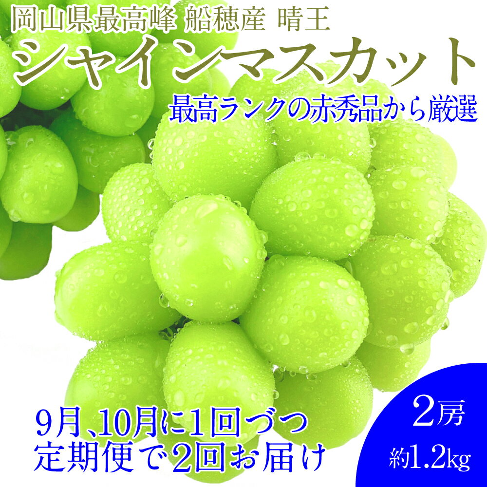 【ふるさと納税】赤秀ぶどう プレミアム シャインマスカット 晴王 2房 約1.2kg 船穂産 赤秀品以上 皮ごと食べる みずみずしい 糖度保証 岡山県産 満天フルーツ 葡萄 ぶどう くだもの 果物 果実 倉敷市 送料無料 【先行予約：2026年9月上旬～10月下旬発送予定 2回定期便】
