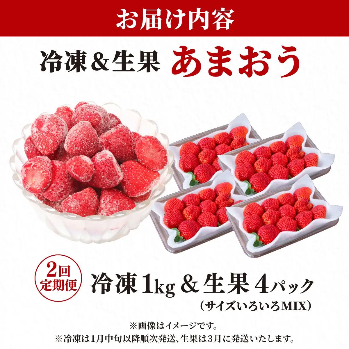 【冷凍＆生果の定期便】福岡県産 特別栽培 あまおう 冷凍あまおう1kg  生果サイズいろいろMIX 約1140g（約285g×4パック）
