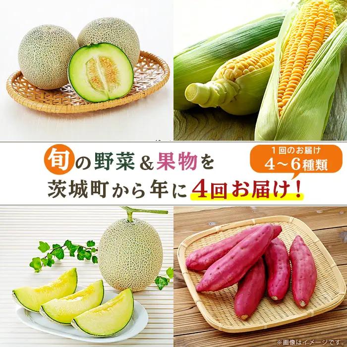 162 定期便 果物 フルーツ 野菜 茨城町 旬 年に4回 お届け お楽しみ メロン サツマイモ とうもろこし 等