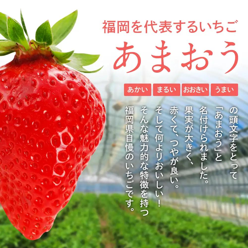 先行予約いちご あまおう 合計約1kg 約250g×4パック【2027年1月下旬～2月順次発送予定】 いちご