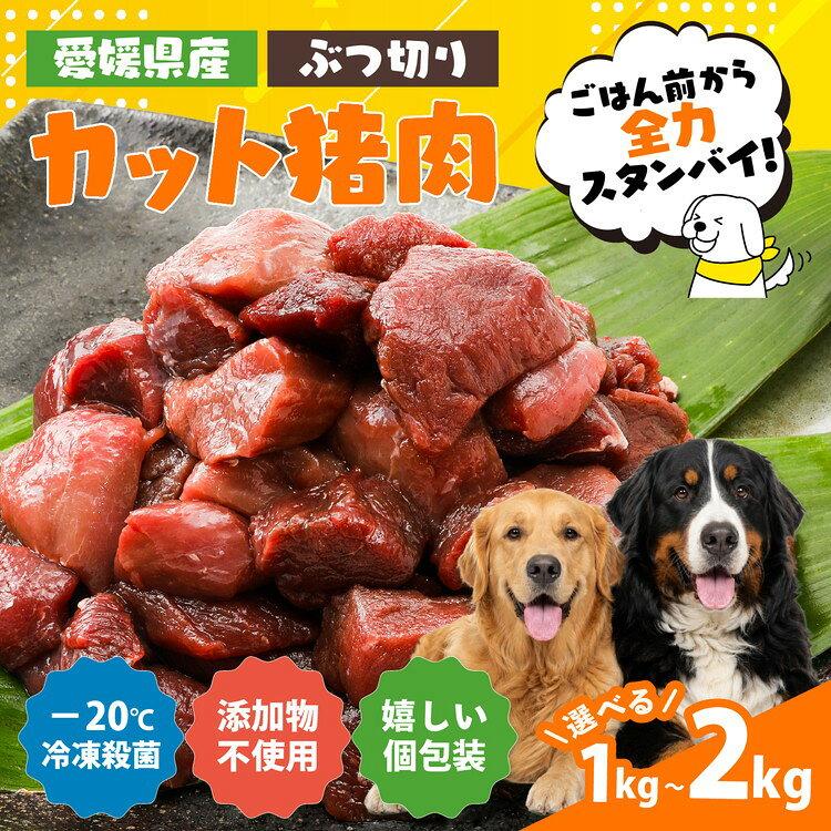 【ふるさと納税】＼選べる内容量／【愛犬用】カット猪肉（ぶつ切り）＜ペット ペットフード 犬 ワンちゃん個包装 餌 毎日 ジビエ 犬用 おやつ 猪肉 愛媛県産 鬼北町 ドッグフード 冷凍殺菌 特定非営利活動法人Cambio＞