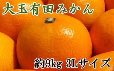 【食べごたえ十分】有田みかん大玉9kg（3Lサイズ・秀品）<br>※2025年11月中旬～2026年1月中旬頃より順次配送予定