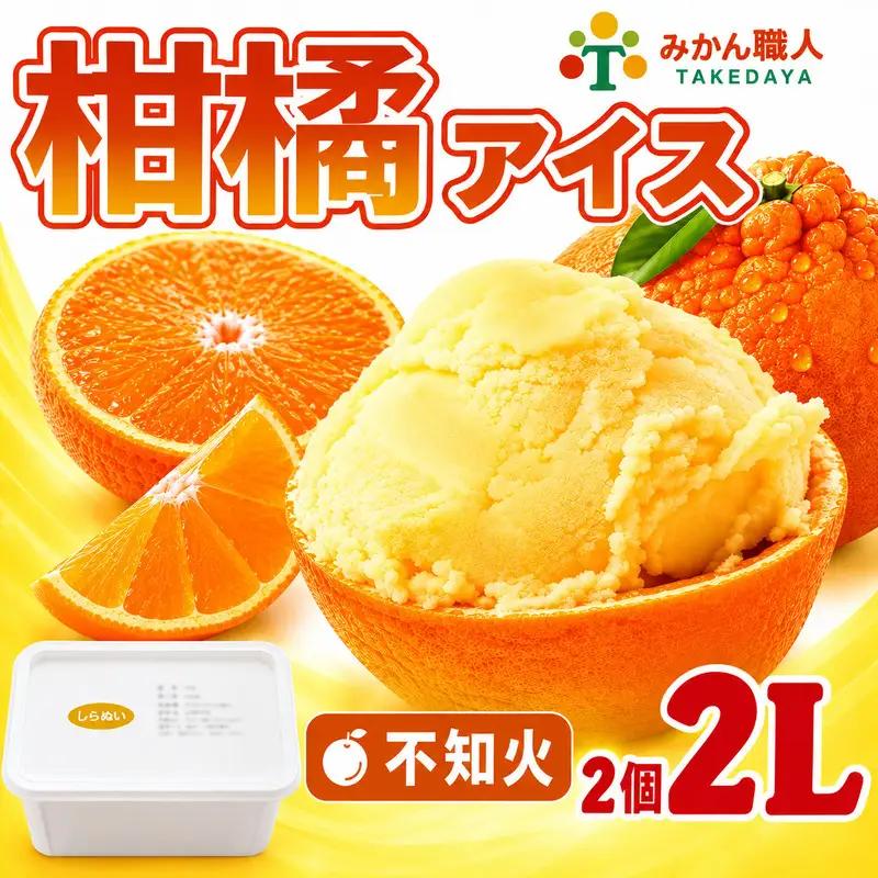 柑橘アイス 計2L(1個1000ml) 【 不知火 】 愛媛県 愛南町 みかん職人武田屋
