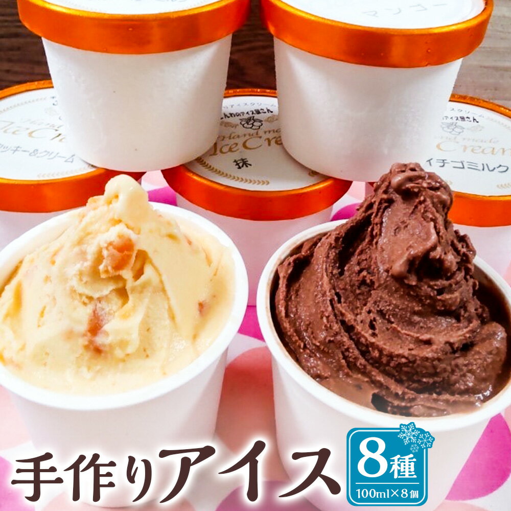 【ふるさと納税】手作りアイス8個セット ジェラート デザート スイーツ おやつ シャーベット アイス バニラ チョコ びわ 枇杷 いちご 抹茶 マンゴー 冷凍 長崎市