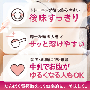 【定期便】DAILY BASIC+ WPI チョコレート（3か月連続お届け） 【0105-009】 ﾌﾟﾛﾃｲﾝ 高ﾀﾝﾊﾟｸ質 低糖質 低脂質 健康食品 美容食品 溶けやすい ﾀﾞｲｴｯﾄ 甘すぎな
