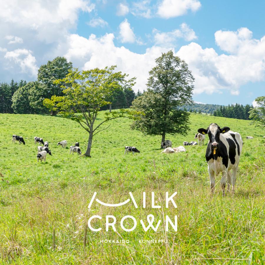 ＜MILK CROWN＞北海道くんねっぷ牛乳ジェラート（ミルク・プレミアムバニラ）120ml×6個