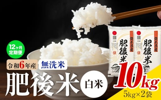 【12ヶ月定期便】熊本県産 肥後米 無洗米 白米 10kg 1袋5kg 米 お米 令和6年産 九州産 熊本県産 送料無料《お申込み翌月に出荷予定》】 無洗米 白米 米