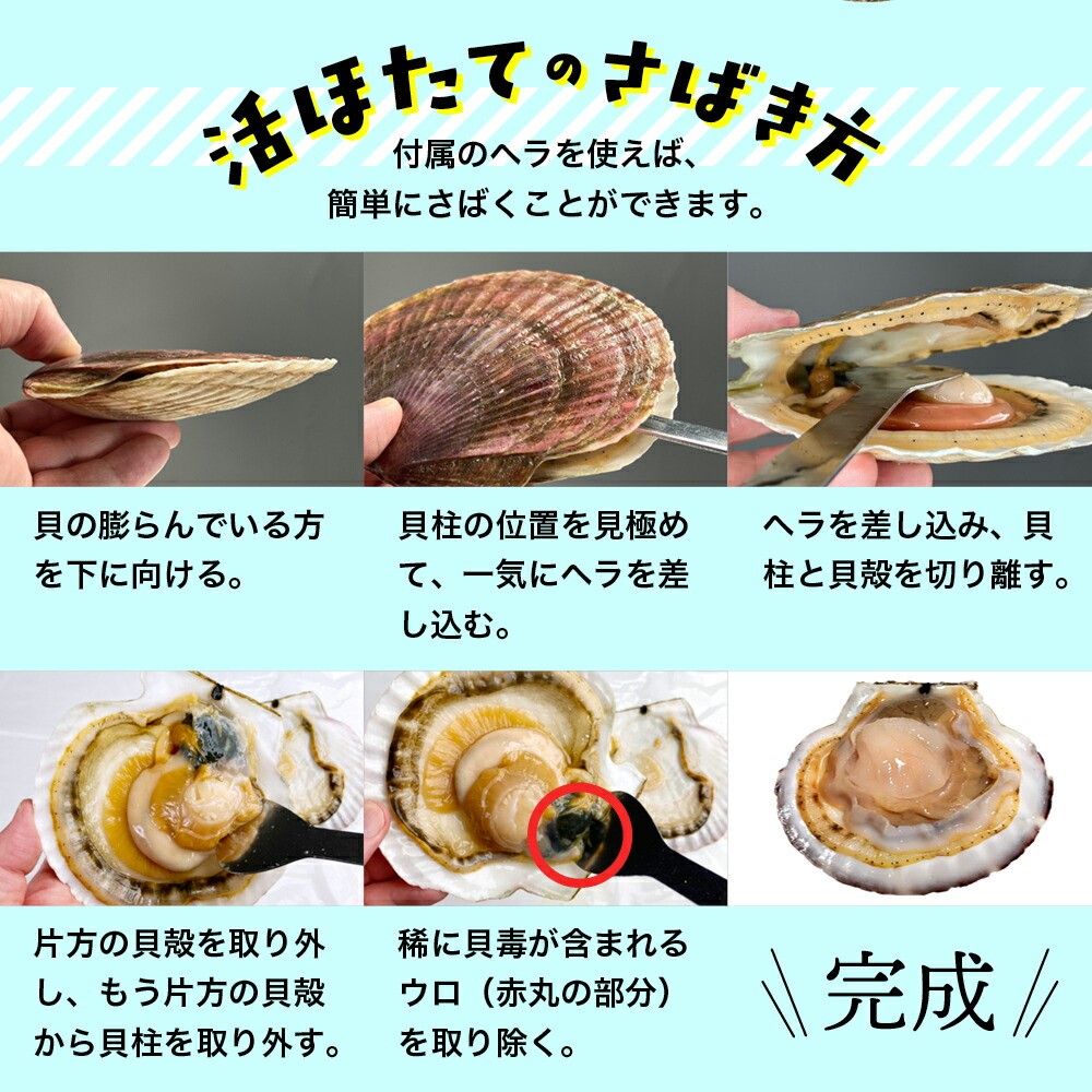 11-145 北海道紋別産 活ホタテ2kg(Lサイズ)
