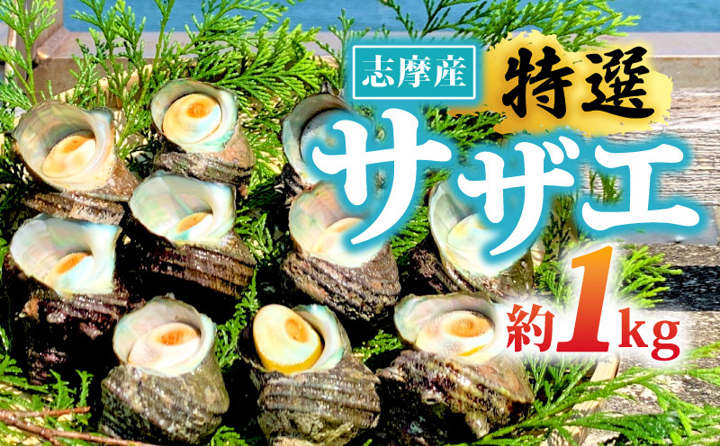 
                  サザエ 1kg 入り 新鮮 海鮮 海産物 魚介 魚貝 サザエ 栄螺 貝 刺身 刺し身 お造り つぼ焼き グリル BBQ バーベキュー キャンプ 夏 ギフト 贈り物 志摩産 特選  三重 志摩 伊勢志摩 10000円 1万円 一万円
                