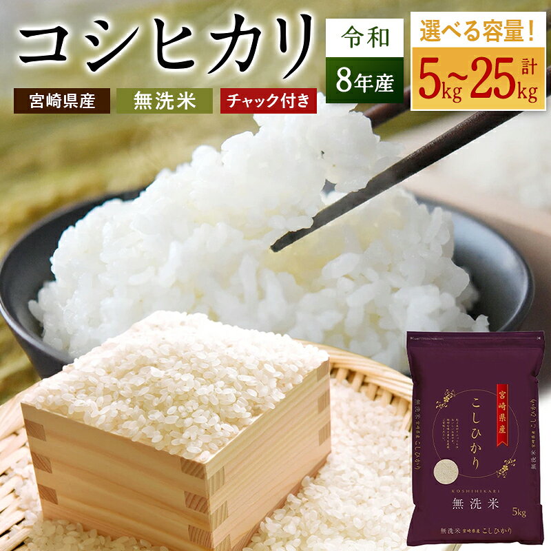 【ふるさと納税】＜選べる内容量＞ 米 コシヒカリ 無洗米 国産 チャック付 小分け 食品 保存 便利 ご飯 弁当 こしひかり 簡単 数量限定 送料無料