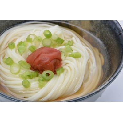 ふるさと納税 島原市 島原手延うどん 山水の糸 1袋(200g)DE272 |  | 01