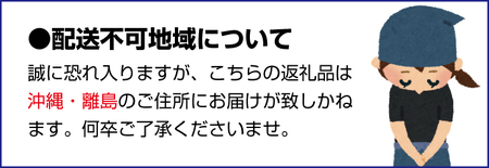 くじらの酒器セット(紺)＜酒盃：紺×2個＞【hok107-1】