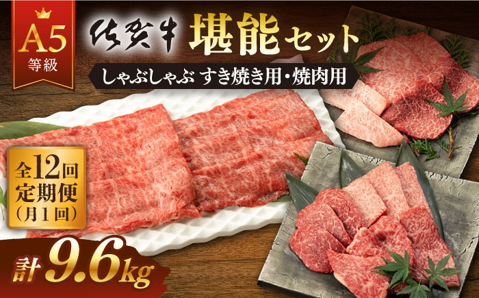 
【12回定期便】佐賀牛 A5 堪能セット (しゃぶしゃぶ すき焼き用 ・ 焼肉用) 計800g(400g×2P) 【桑原畜産】 [NAB097]
