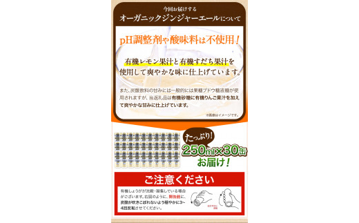 【12ヶ月定期便】 ジンジャーエール 250ml×30缶 光食品株式会社 定期 計12回お届け 《お申込み月の翌月から出荷開始》 徳島県 上板町 ジュース 炭酸水 光食品 ジンジャーエール オーガニッ