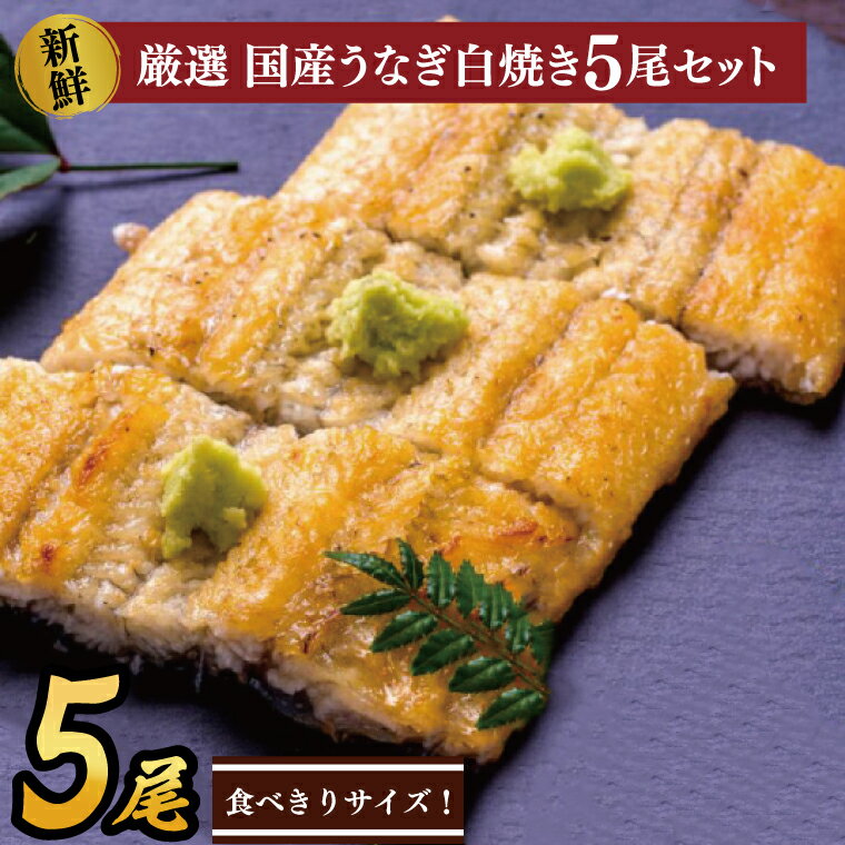 【ふるさと納税】食べ切りサイズ！国内産うなぎの白焼(酒蒸し)100～120g 5尾　計500g以上|うなぎ 鰻 白焼 酒蒸し 食べ切り 茨城県 行方市（AD-71-1）