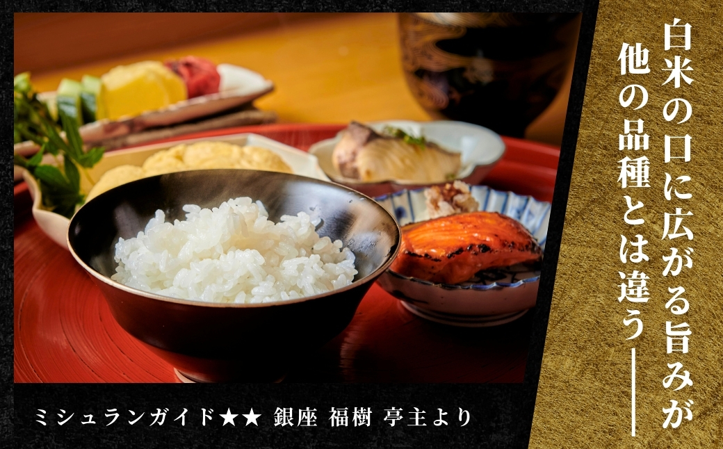 【2025年産新米】【3ヶ月定期便】最高級魚沼産コシヒカリ「雪椿」2kg (2kg×1袋) 特別栽培米127527-014