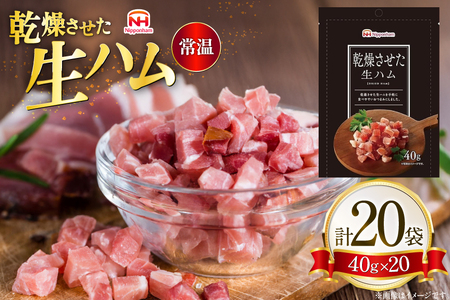 乾燥させた 生ハム 40g 20袋 [日本ハムマーケティング 青森県 おいらせ町 oi02ayo820022]