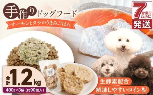 1cofood 手作りドッグフード サーモンとタラのうまみごはん 400g×3袋_Pf017