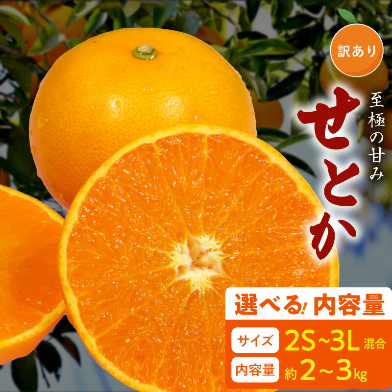 【ふるさと納税】【限定】 【2026年先行予約】 訳あり せとか 2S～3L 選べる 内容量 約2kg 約3kg サイズ混合 ブランド 有田産 味 深み 濃厚 果汁 国産 果物 フルーツ 果実 食品 食べ物 おやつ デザート お取り寄せ お取り寄せフルーツ 和歌山県 湯浅町 送料無料