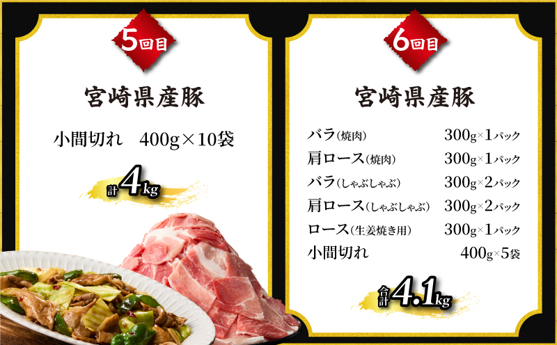 6か月 お楽しみ 定期便 宮崎牛 宮崎県産豚 食べ尽くし セット 総重量12.9kg 数量限定 6回 肉 牛肉 豚肉 国産 食品 黒毛和牛 小分け ロース 豚バラ 小間切れ スライス 焼肉 しゃぶしゃ
