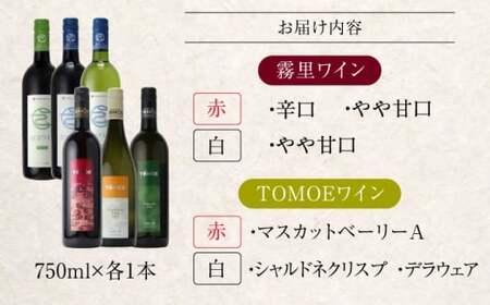 霧里ワイン＆TOMOEワイン おすすめ６本セット ワイン 受賞 飲み比べ ワインセット ギフト 三次市 / 広島三次ワイナリー[APAZ036]