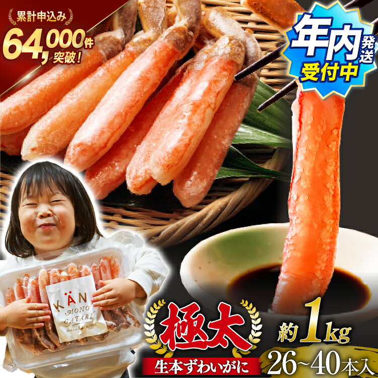 極太 生本ずわいがに 棒肉ポーション 約1kg 30本～40本入り 殻剥き不要 ! 脚肉のみ ! / かに物語 カネダイ / 宮城県 気仙沼市 [20562060] カニ ずわいがに ズワイガニ ずわい蟹 ズワイ蟹 蟹 カニ カニ脚 蟹脚 カニ棒肉 カニ 生 蟹 ポーション カニしゃぶ