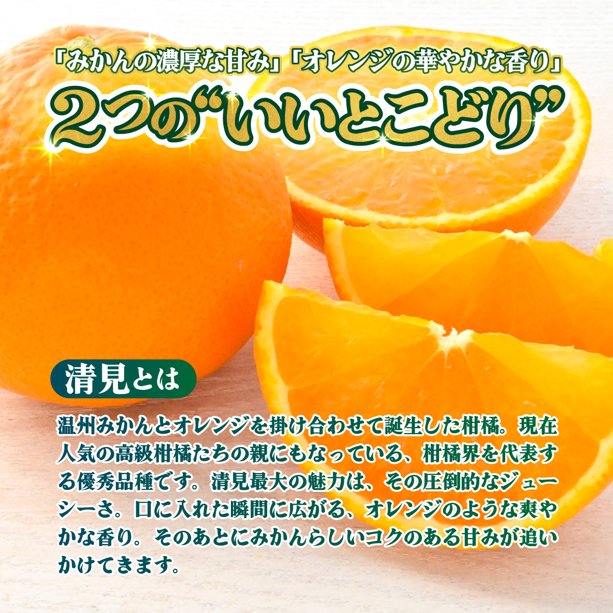 ＜【訳あり】愛媛県産 清見 約1.5kg＞『2027年2月上旬～4月下旬迄順次発送予定』 わけあり ジューシー 果肉 訳アリ きよみ みかん 柑橘 蜜柑 果物 くだもの フルーツ ミカン 果汁 国産 