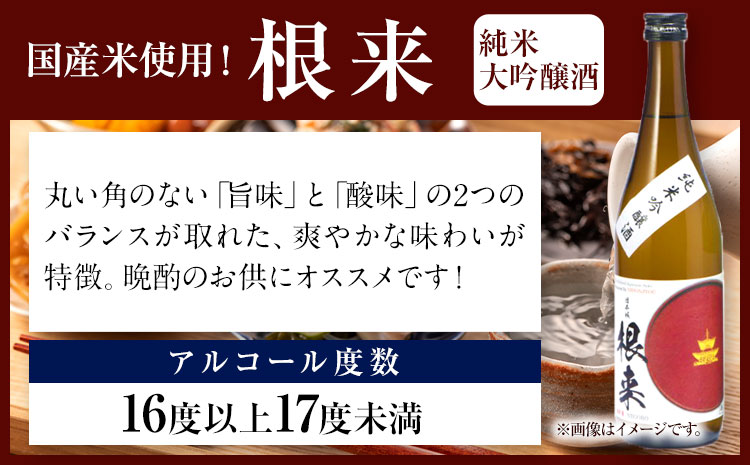 日本城 純米大吟醸酒 純米吟醸酒 根来 飲み比べセット 720ml×2本セット 厳選館《90日以内に出荷予定(土日祝除く)》 和歌山県 日高川町 酒 純米吟醸 飲み比べ 1440ml 純米大吟醸酒 純